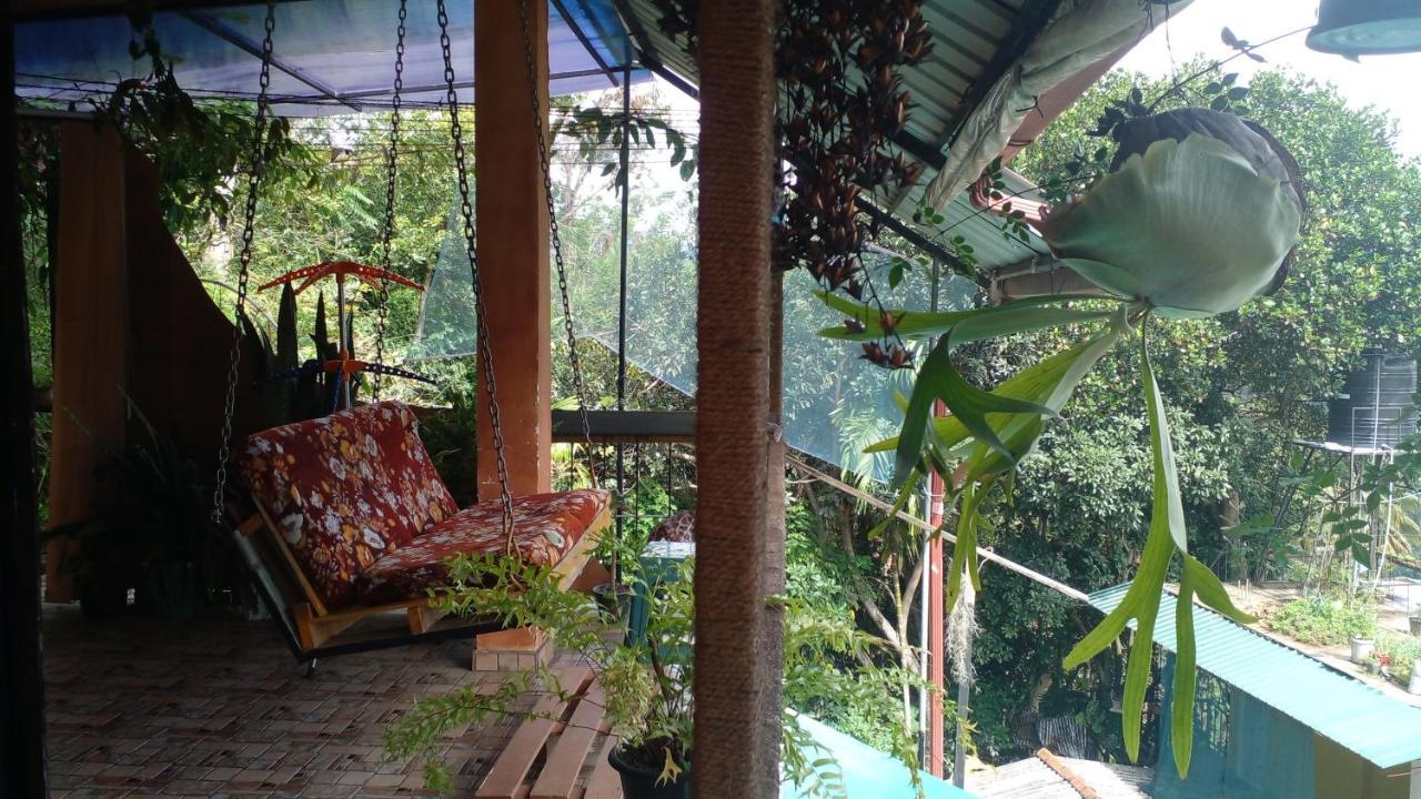 Secret View Homestay Ella Esterno foto